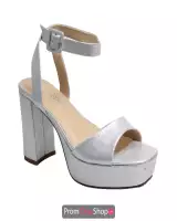 Silver Shimmer